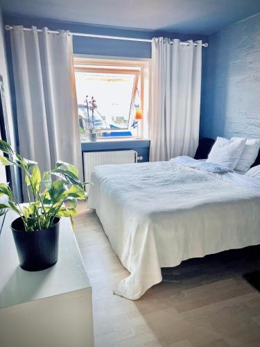 Hillerod House | Guesthouse Falkevej