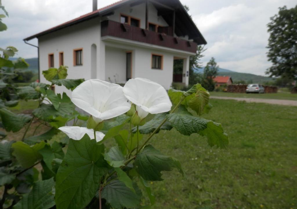 Irinovac House | Guesthouse Matija
