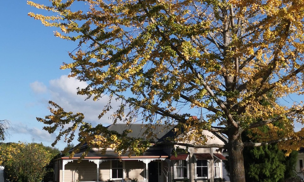 Cambridge Apartment | Guestroom on Queen