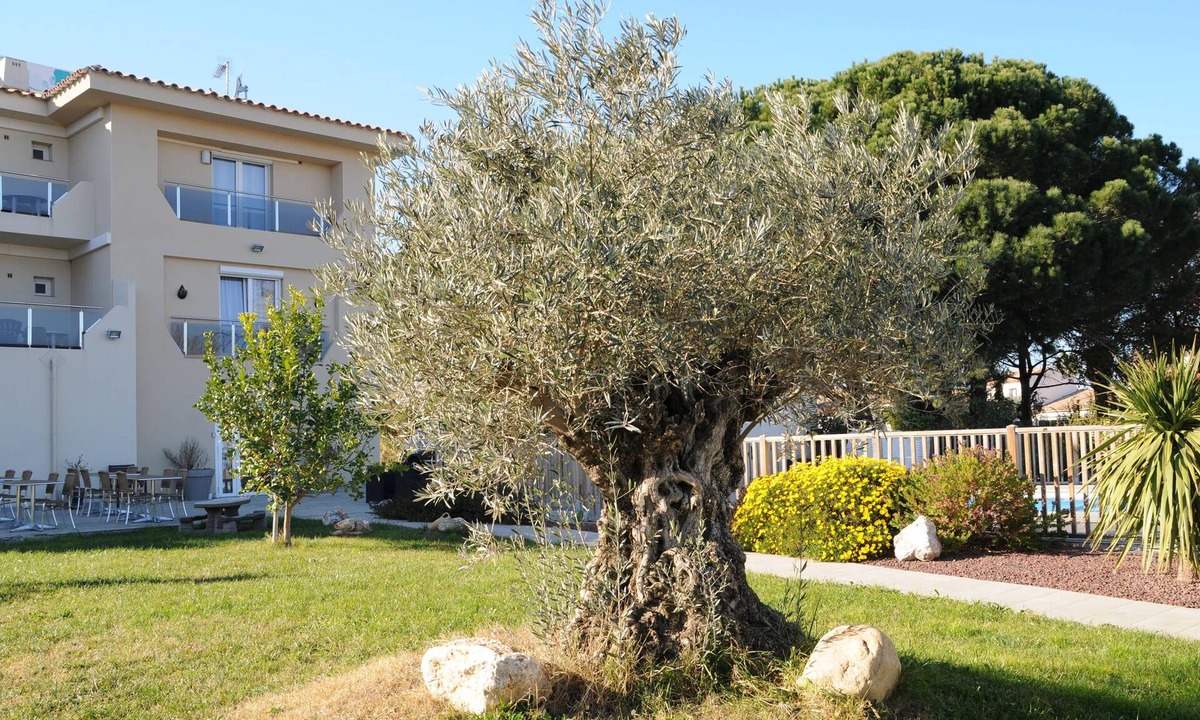 Argeles-sur-Mer Hotel | Hôtel Bleu Azur