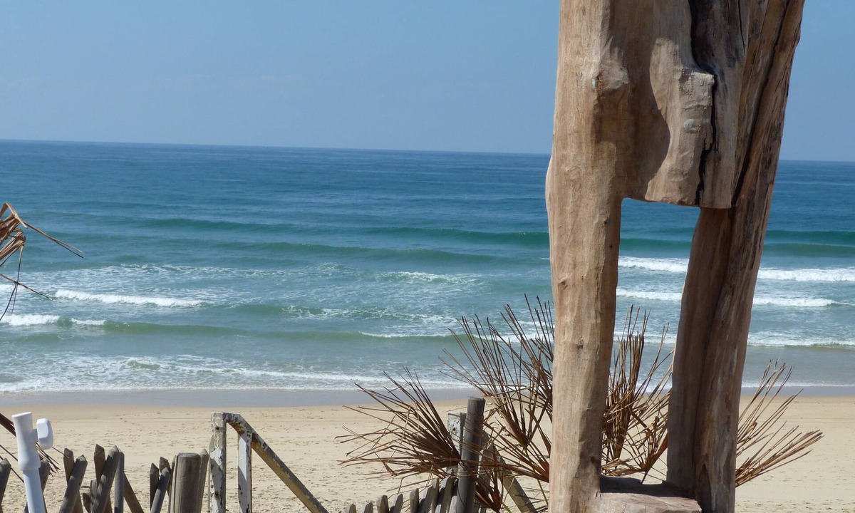 Mimizan-Plage Hotel | Hôtel de France