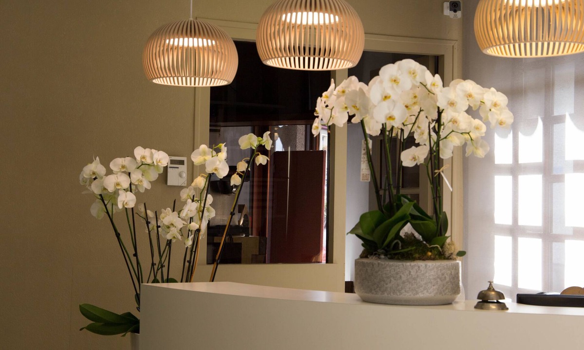 Vire Hotel | Hôtel de France Vire