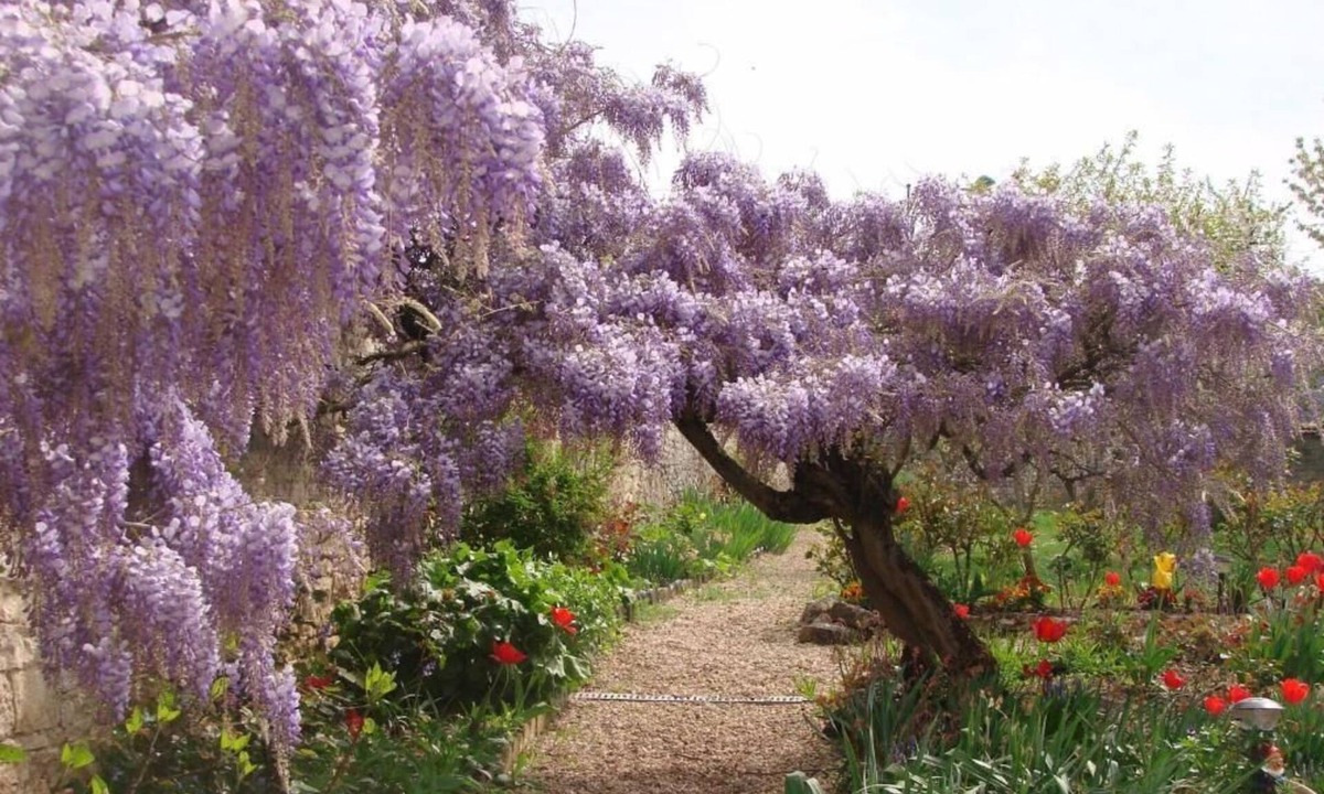 Chagny Hotel | Hôtel de La Ferté