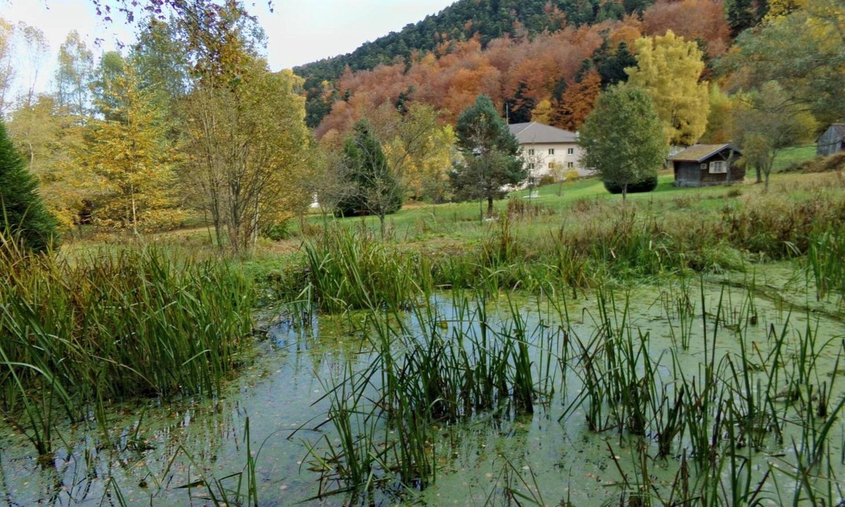 Murbach Hotel | Hôtel Domaine Langmatt