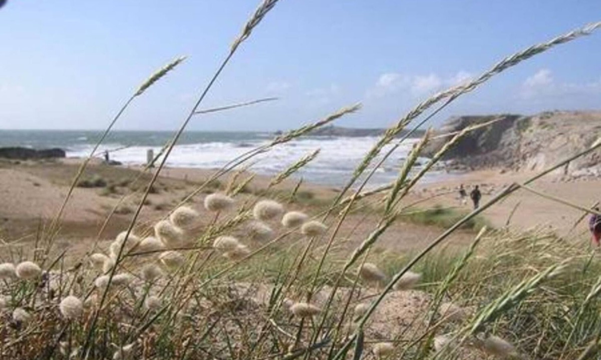 Saint-Pol-de-Leon Hotel | Hôtel du Cheval Blanc