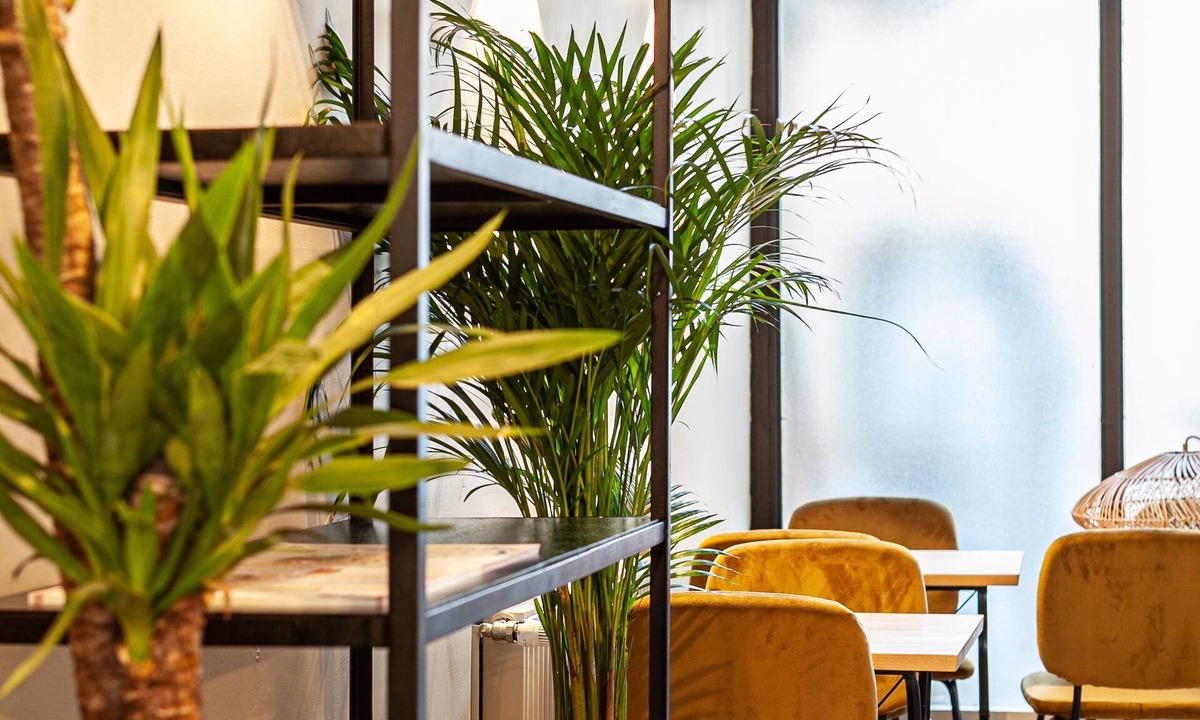 Cluny Hotel | Hôtel du Commerce