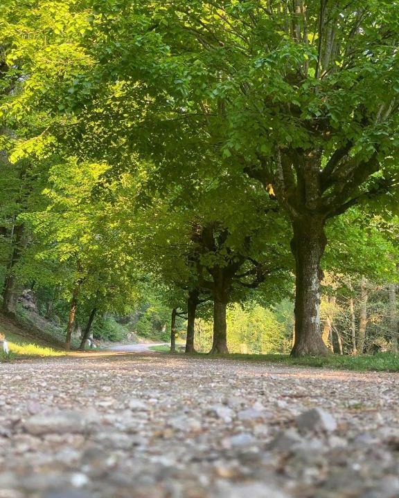 Forges-les-Bains Bed & Breakfast | Hôtel du Parc