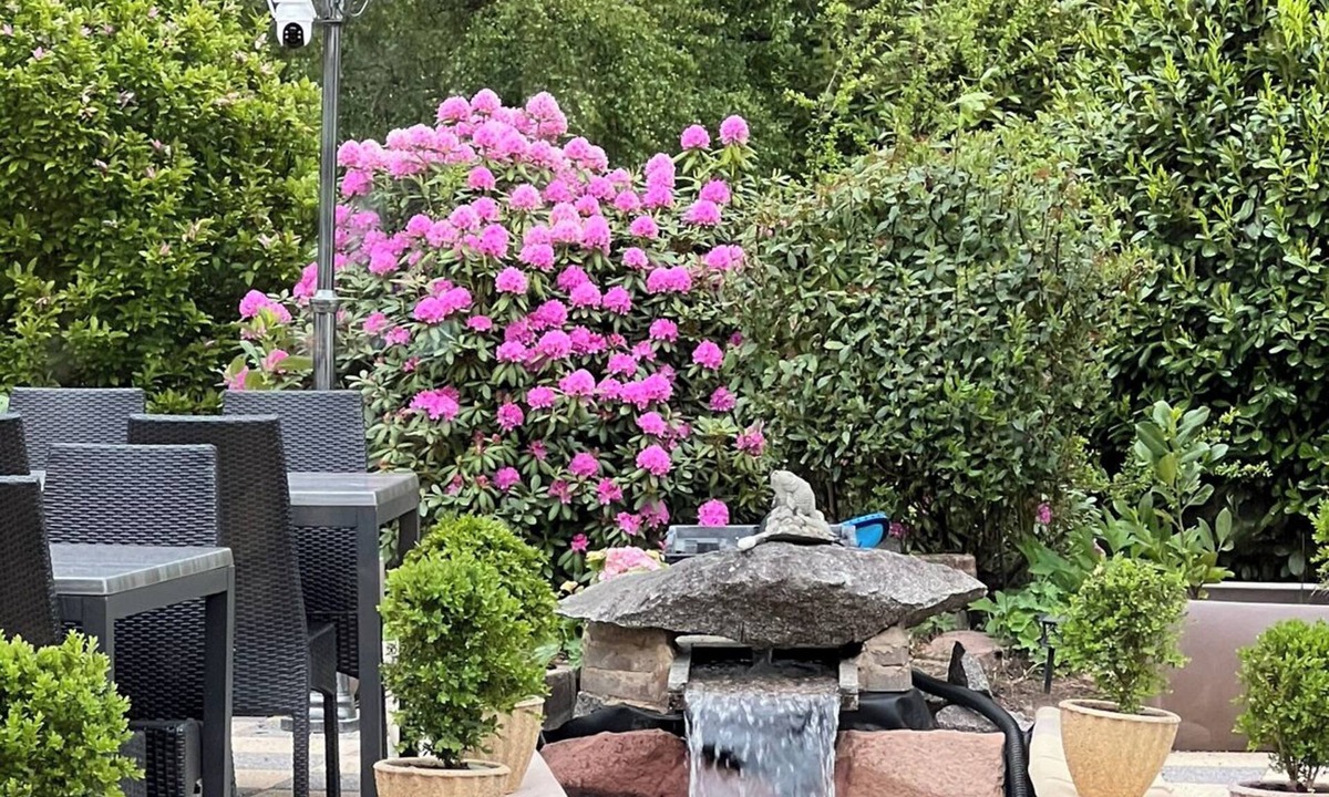 Saales Hotel | Hôtel l'Orée des Roches