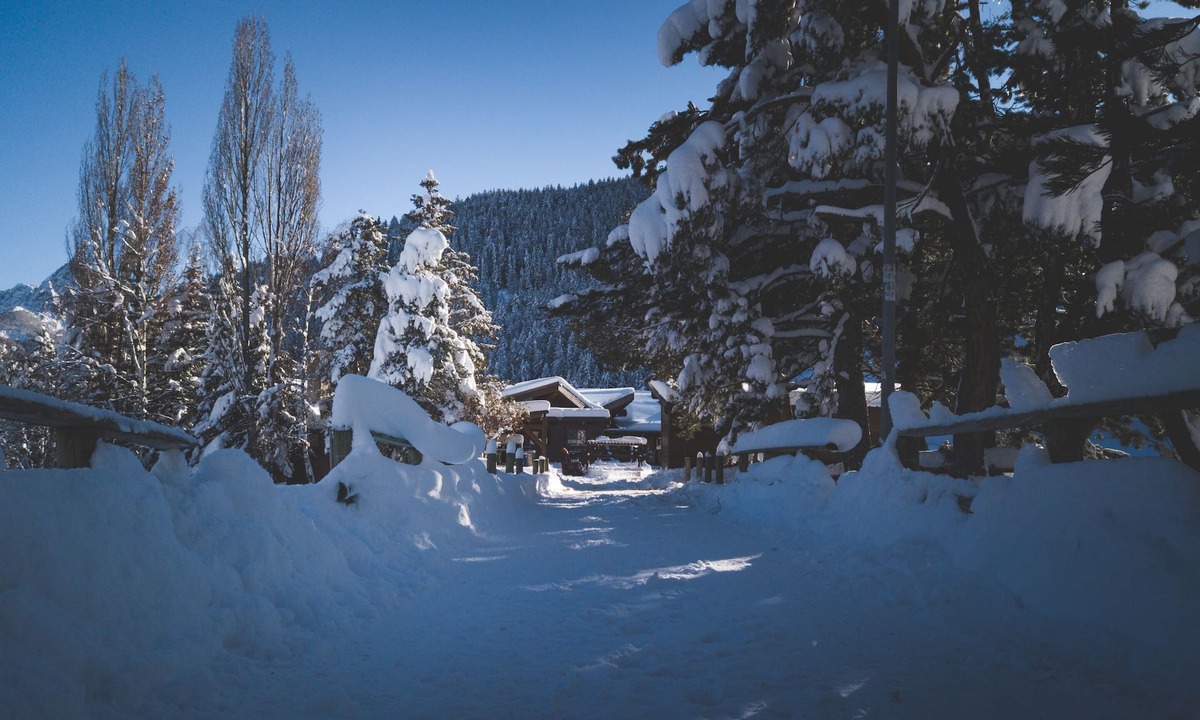 Pra Loup Hotel | Hôtel Le Loup Blanc