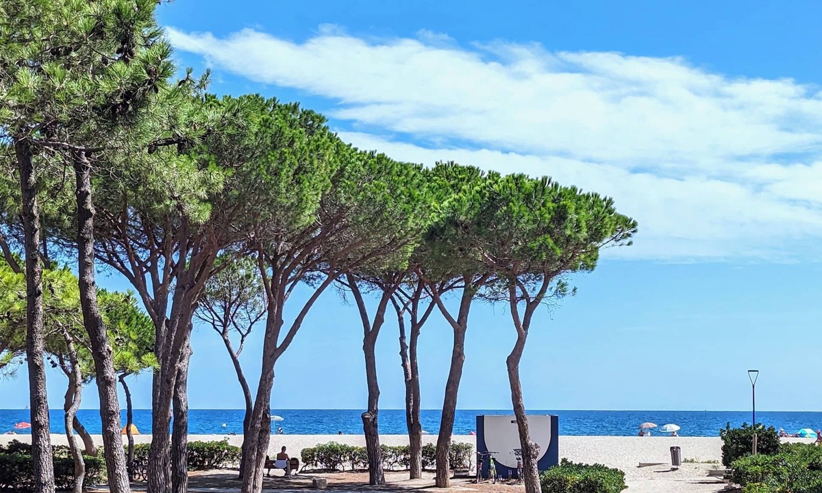 Argeles Plage Hotel | Hôtel Le Maritime