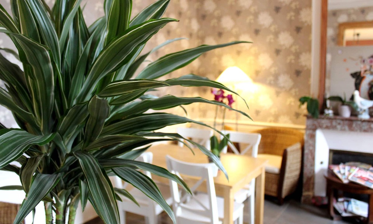 Illiers-Combray Hotel | Hôtel les Aubépines