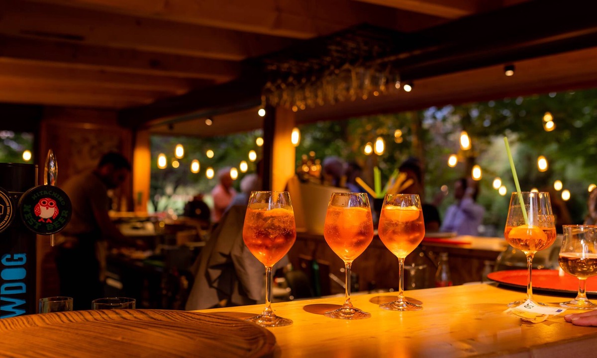 Les Sagnieres Hotel | Hôtel Les Bartavelles