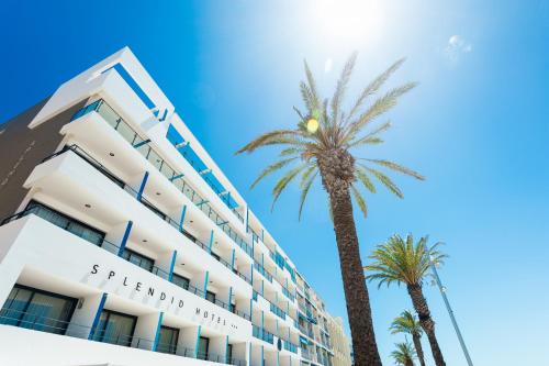 Le Grau-Du-Roi Hotel | Hôtel Restaurant Splendid Camargue