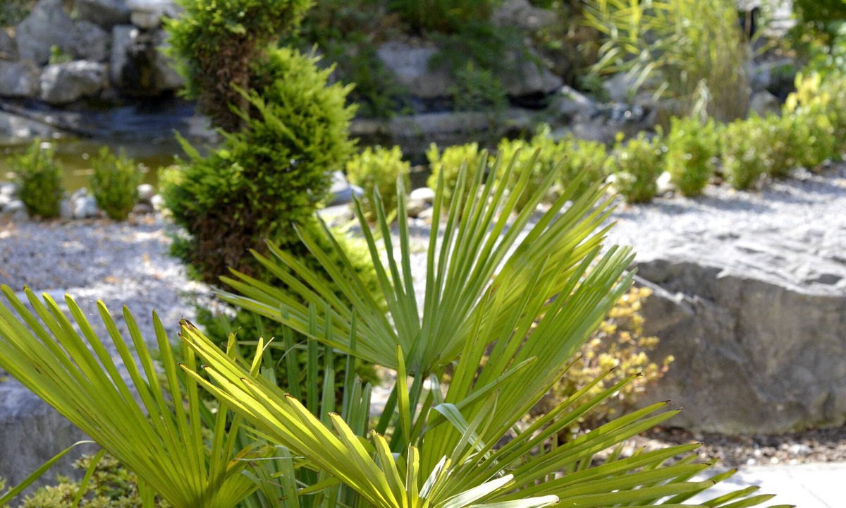 Besancon Hotel | Hôtel Victor Hugo & Spa