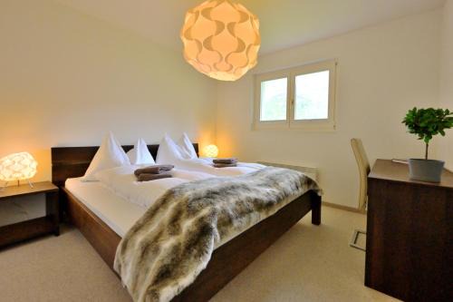 Arosa Apartment | Hölzerhütte