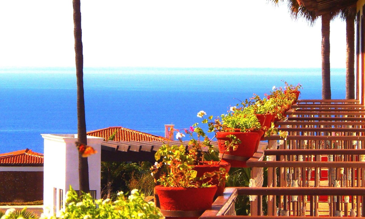 Salsipuedes Hotel | Hacienda Bajamar Golf Resort