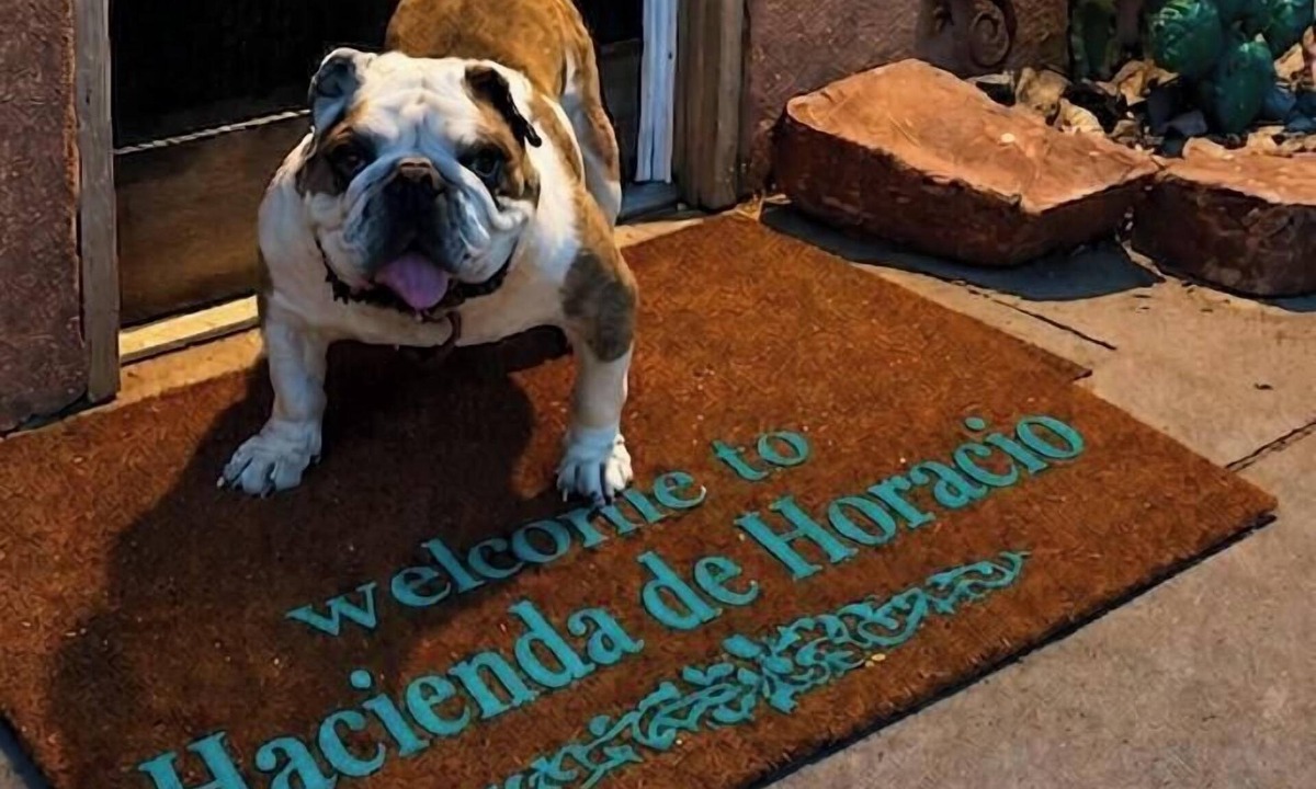 Mesilla House | Hacienda de Horacio a 3 bedroom w/2 king beds, private patio and parking. n