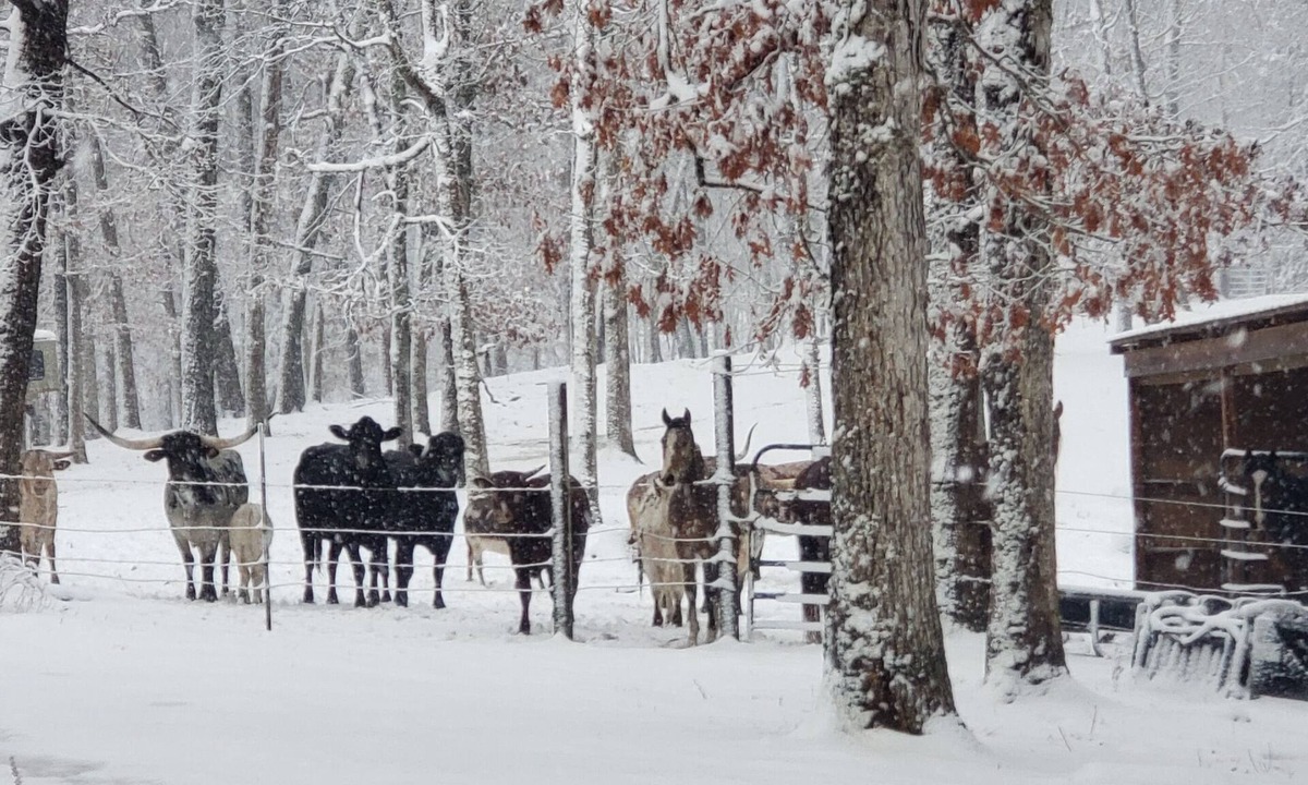 Richwoods RV Rental | Hagood farms and trails
