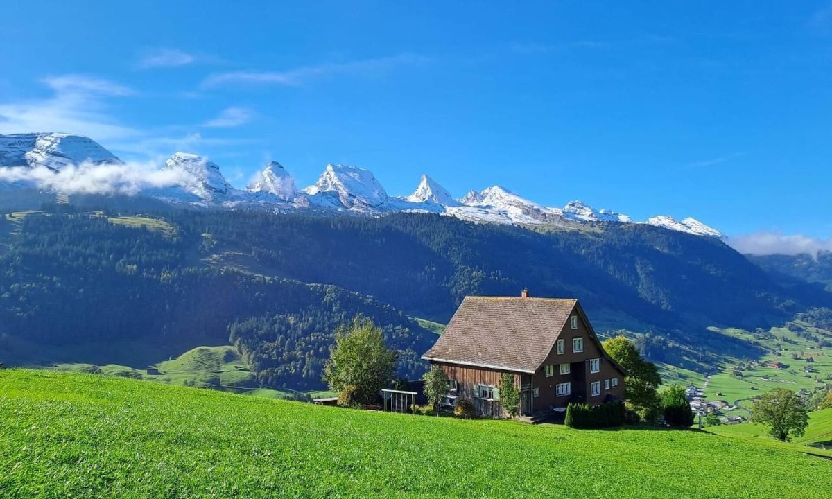 Wildhaus-Alt St. Johann Apartment | HALDENHOF SCHWIZER by Interhome