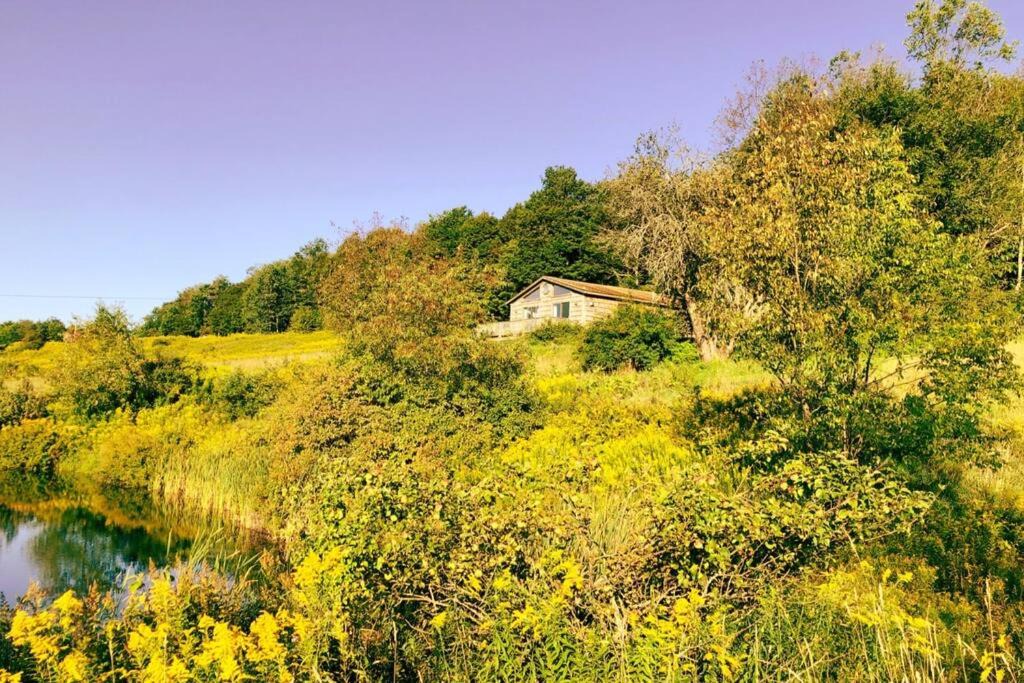 De Lancey House | Hamden Hill House