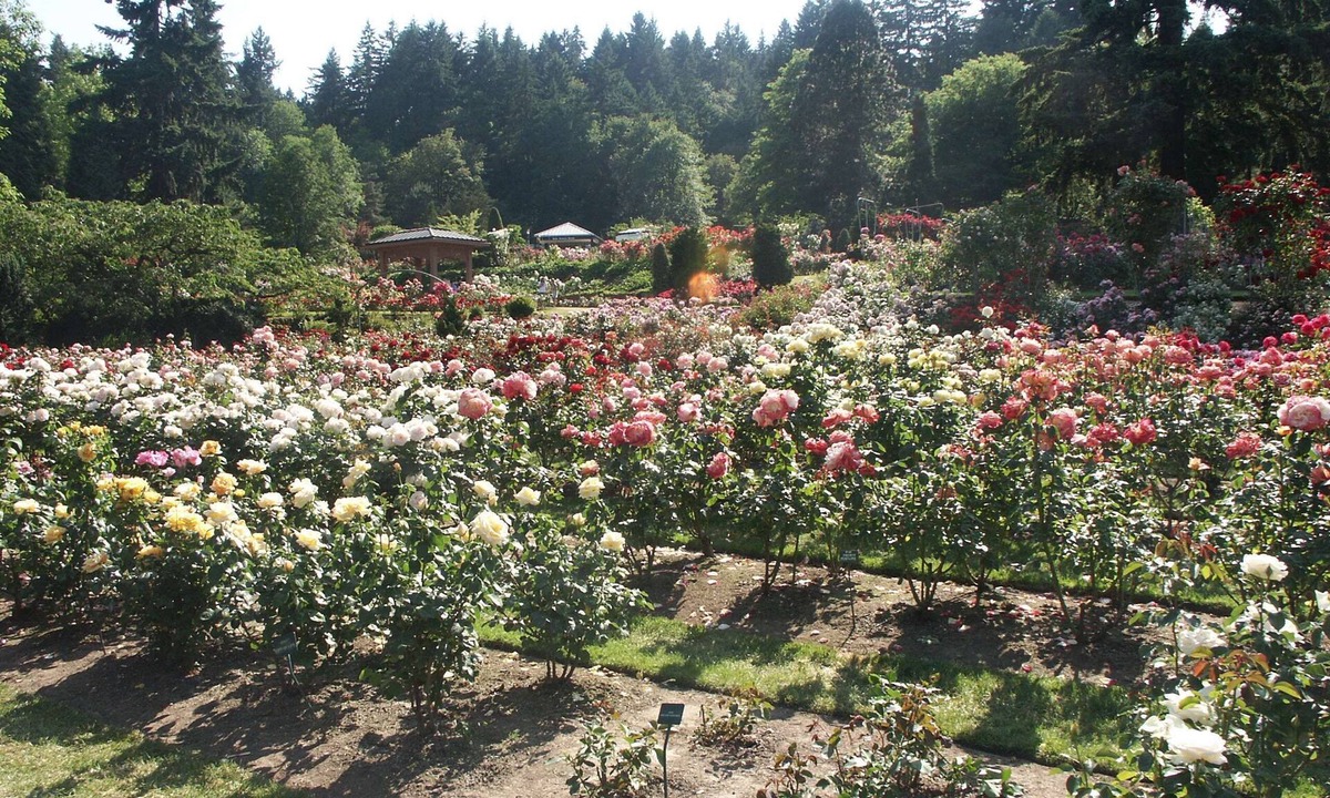 Wilkes East Hotel | Hampton Inn Portland East