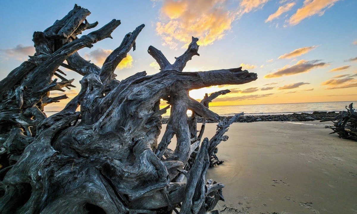 Jekyll Island Hotel | Hampton Inn & Suites Jekyll Island