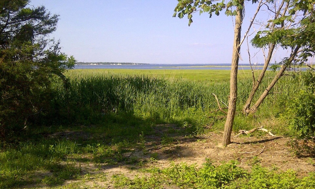 Flanders House | Hampton's Tranquil getaway near bay & ocean waters.