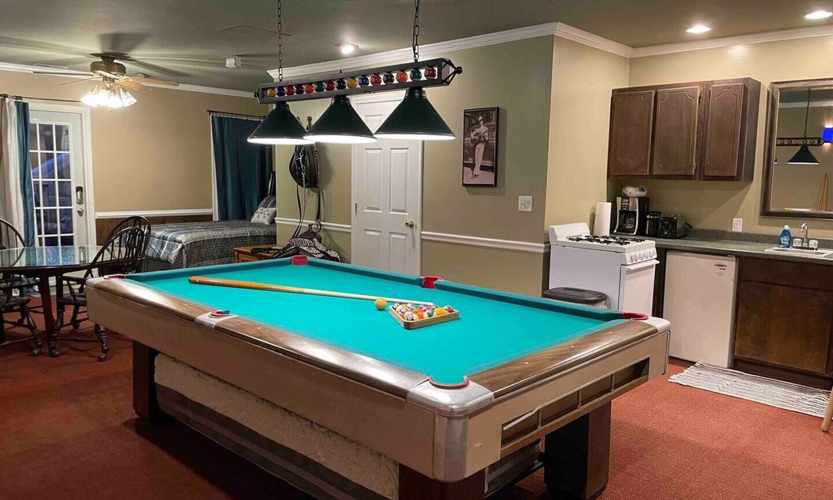 Camden Apartment | Hank Williams hang out