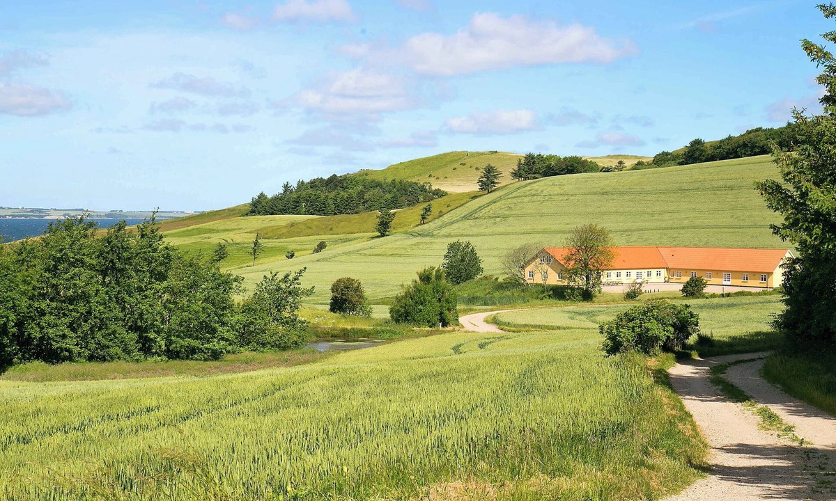Nykobing Mors House | Hanklit holiday home event course venue