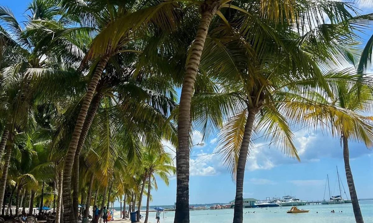 Reparto Ibarra Hotel | Hannabi Hotel