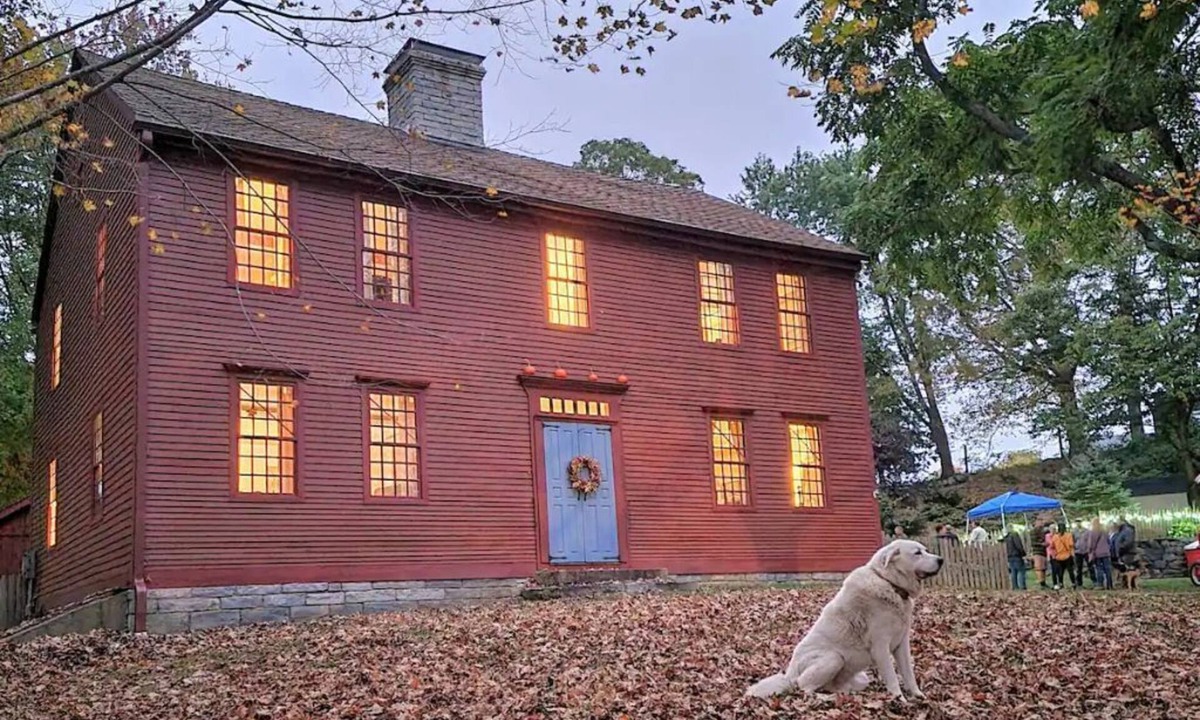 Baltic Other | Hanover Vineyards