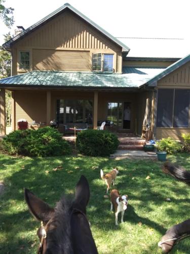Fort Scott House | Happy Ass Farm