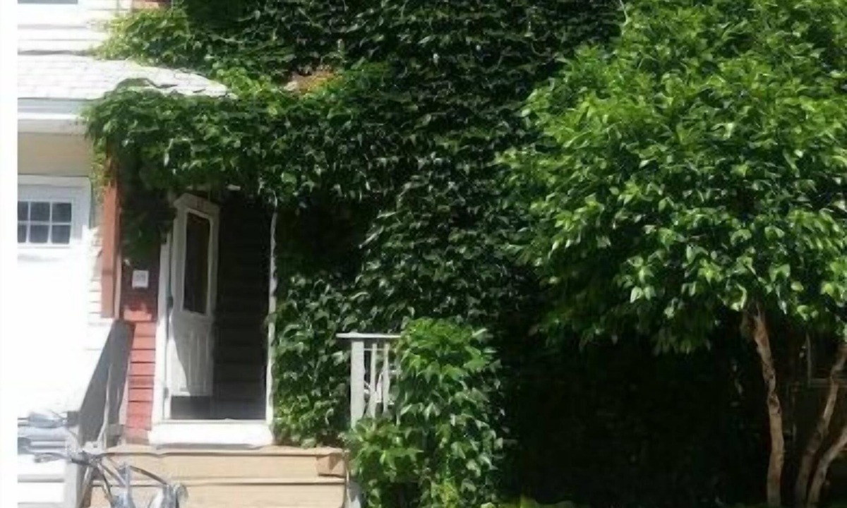Allston Apartment | Happy Green House ,Boston Landing, BU, BC, Harvard and MIT