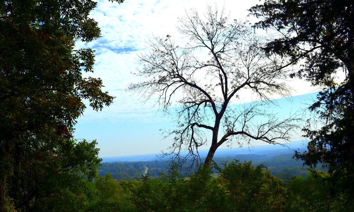 Marshall Cabin | Happy Hawk Cabin — Mountain Retreat Near Buffalo River