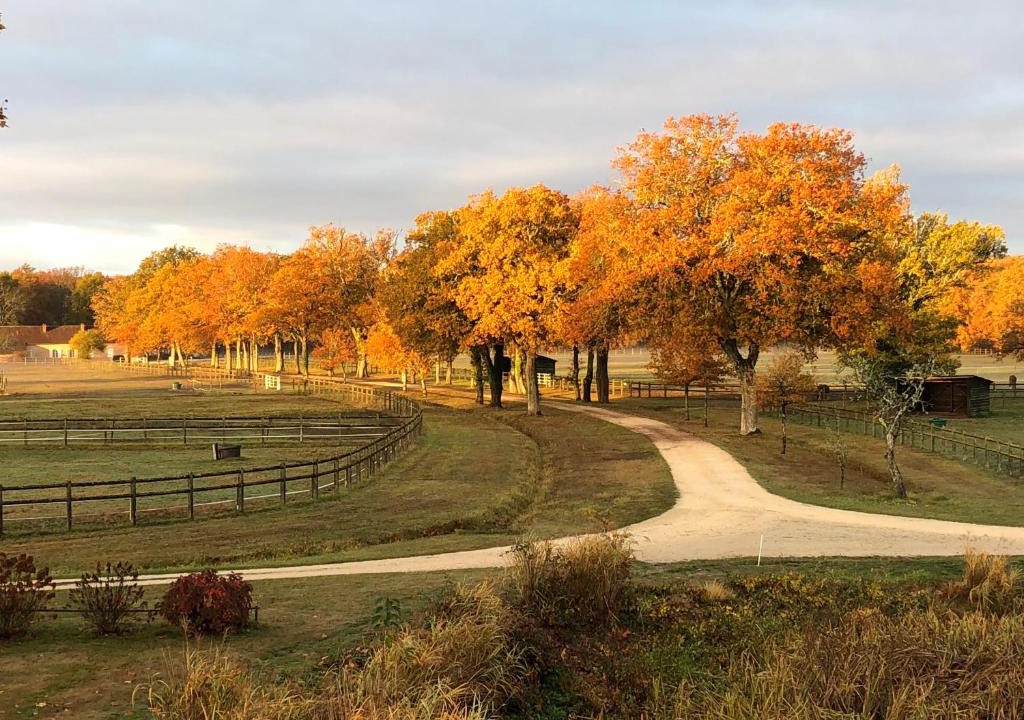 Salbris Bed & Breakfast | haras du Vignault Le Bûcher