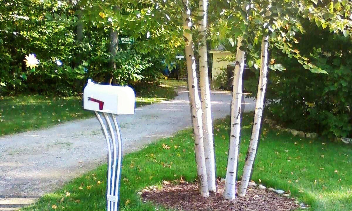 Harbor Springs Cottage | Harbor Springs Cottage In The Woods