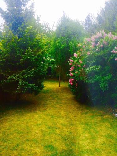 Harpenden House | Harpenden Rooms