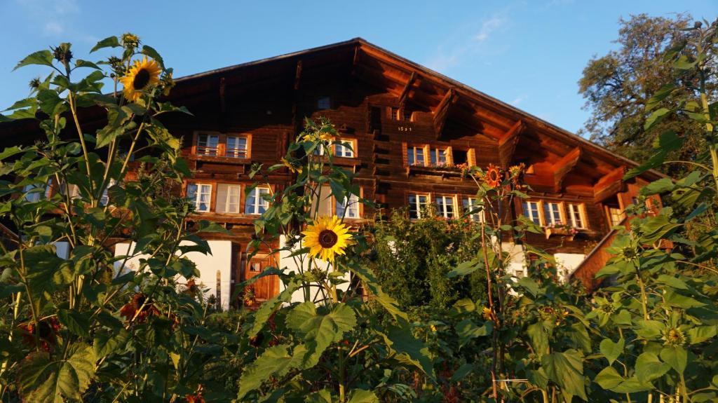 Hasliberg Apartment | Hasliberger Haus mit wunderschöner Aussicht