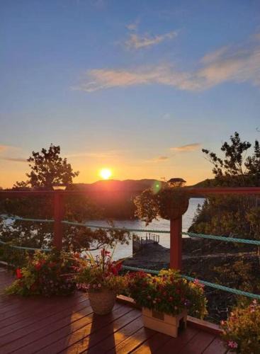 Fogo House | Hatchet Harbour Vacation Home