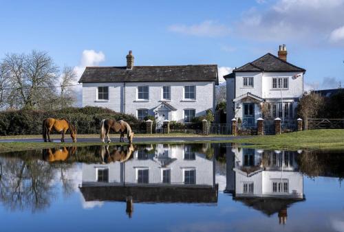 New Forest District House | Hatchet Pond Cottage