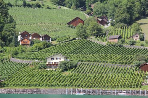 Mitloedi Hostel | Haus Bünten