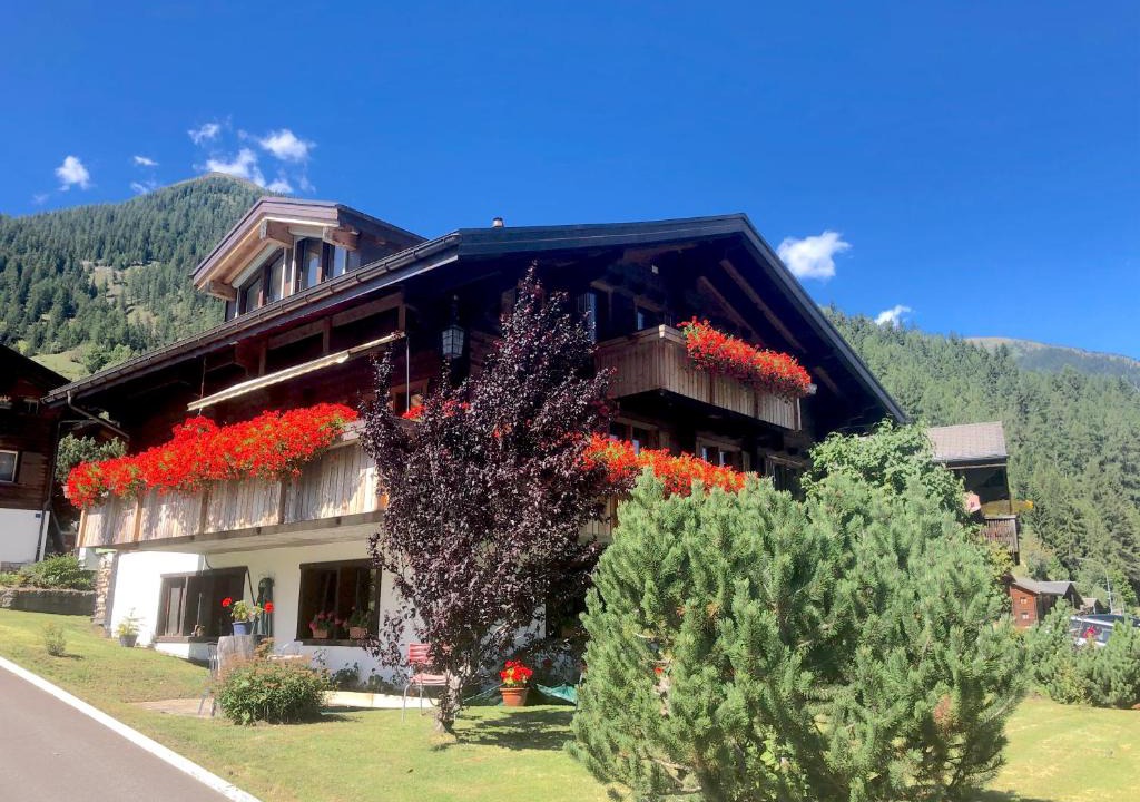 Blitzingen Apartment | Haus Diezig