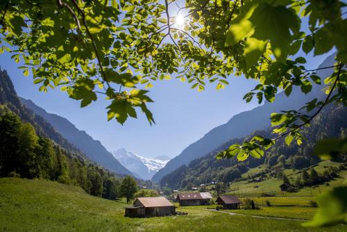 Goldswil Apartment | Haus in Lütschental bei Grindelwald
