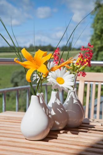 Emmingen-Liptingen Apartment | Haus Lina