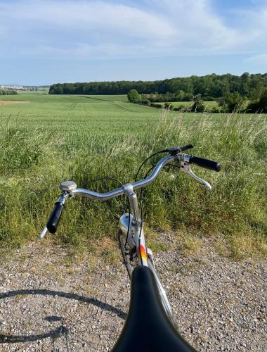 Boisemont House | Hautil room
