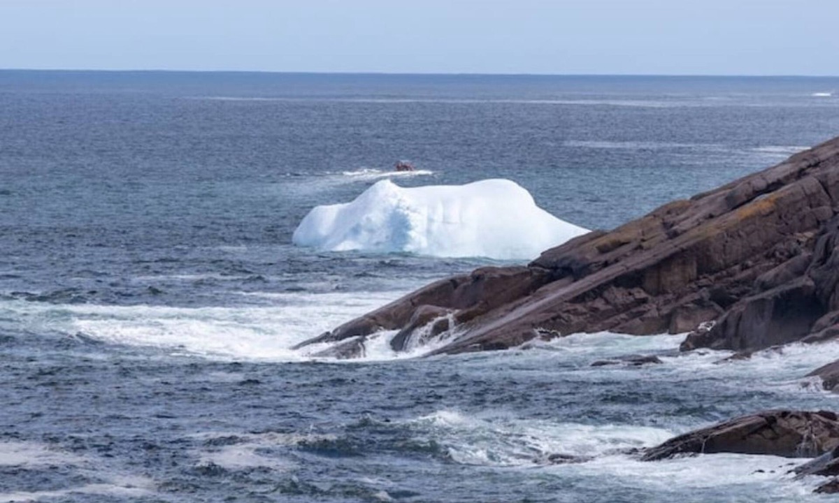 Petty Harbour House | Haven .