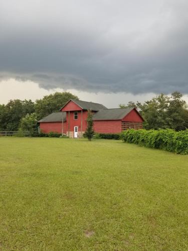 Crawfordville Apartment | Hawks Nest Loft