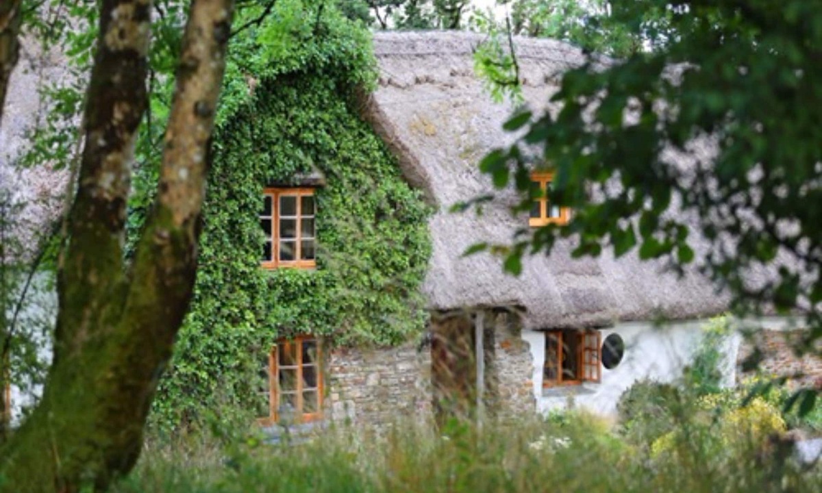 Beaworthy Bed & Breakfast | Hay Meadow Farm