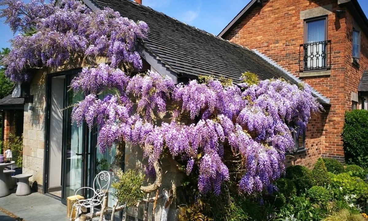 Stanley Common House | Hayeswood Lodge Luxury Accommodation