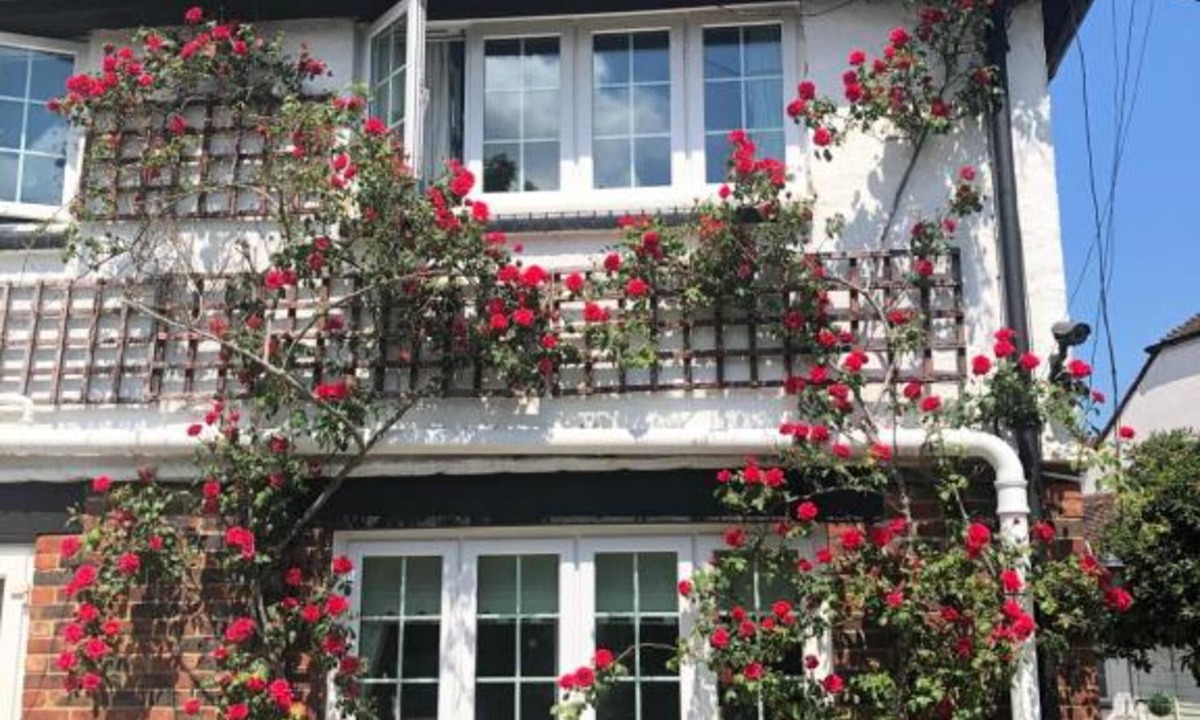 Horley Hotel | Hazelwick